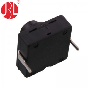 JBL8-1120-209H8.6 Push Button Switch Through Hole vertical