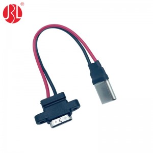 USB-20C-F-06F09L to USB C plug USB type c female to usb type c male